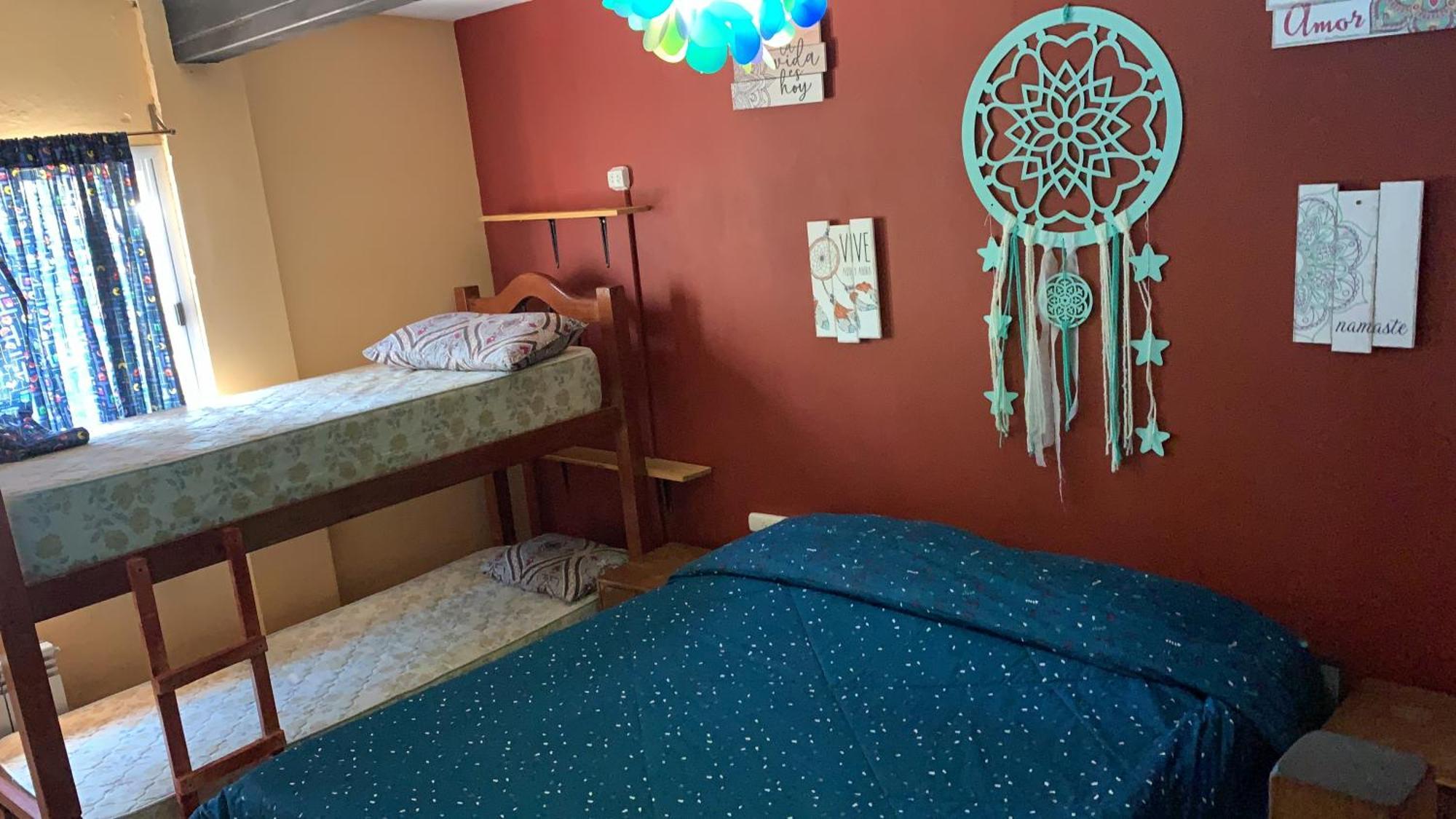 Lemon Tree Hostel 비스탈바 외부 사진